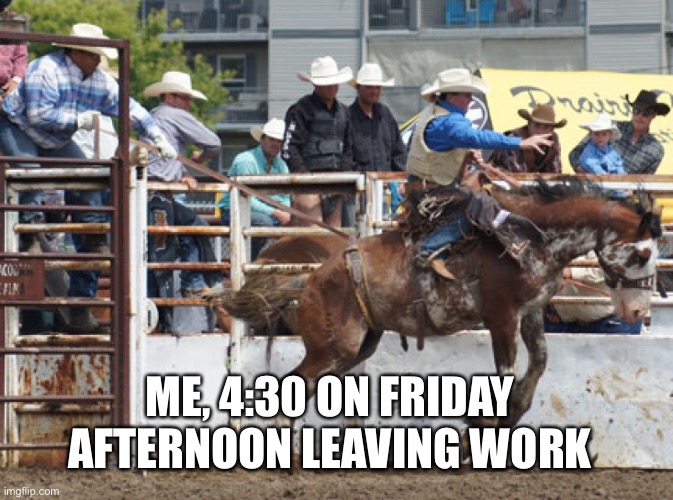 Out da gate | ME, 4:30 ON FRIDAY AFTERNOON LEAVING WORK | image tagged in friday | made w/ Imgflip meme maker