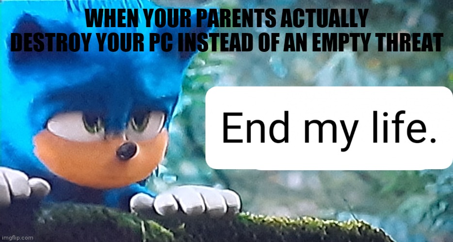 Why would you do this? | WHEN YOUR PARENTS ACTUALLY DESTROY YOUR PC INSTEAD OF AN EMPTY THREAT | image tagged in sonic doesn't want to live | made w/ Imgflip meme maker