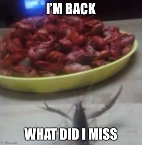 I’m going to the dentist soon | I’M BACK; WHAT DID I MISS | made w/ Imgflip meme maker
