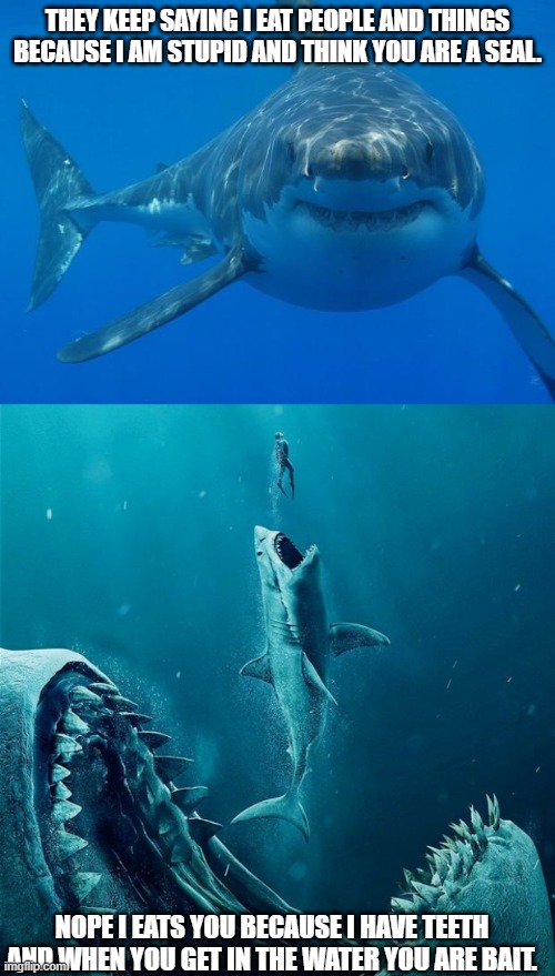  THEY KEEP SAYING I EAT PEOPLE AND THINGS BECAUSE I AM STUPID AND THINK YOU ARE A SEAL. NOPE I EATS YOU BECAUSE I HAVE TEETH AND WHEN YOU GET IN THE WATER YOU ARE BAIT. | image tagged in straight white shark,always a bigger shark | made w/ Imgflip meme maker