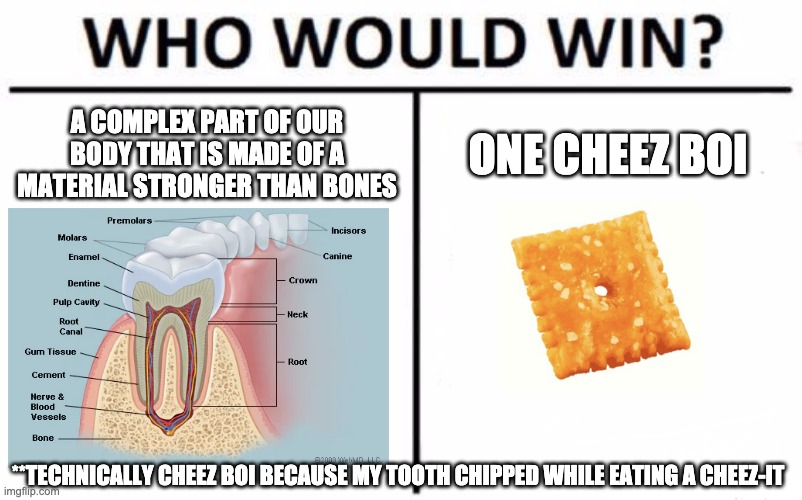 mommwy my toof bwoke becuz of a cheez it | A COMPLEX PART OF OUR BODY THAT IS MADE OF A MATERIAL STRONGER THAN BONES; ONE CHEEZ BOI; **TECHNICALLY CHEEZ BOI BECAUSE MY TOOTH CHIPPED WHILE EATING A CHEEZ-IT | image tagged in memes,who would win,tooth | made w/ Imgflip meme maker