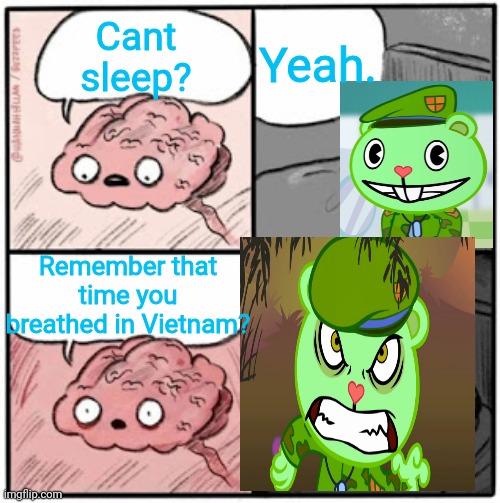 Brain Before Sleep | Yeah. Cant sleep? Remember that time you breathed in Vietnam? | image tagged in brain before sleep,htf,flippy,fliqpy | made w/ Imgflip meme maker