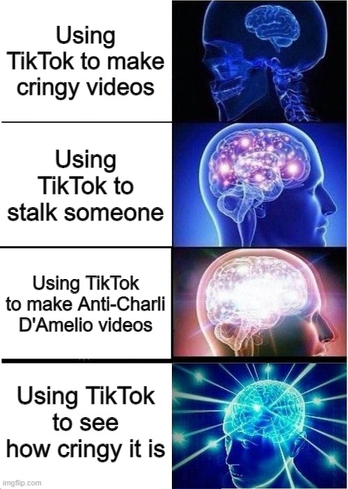 Never downloaded TIktok never will | Using TikTok to make cringy videos; Using TikTok to stalk someone; Using TikTok to make Anti-Charli D'Amelio videos; Using TikTok to see how cringy it is | image tagged in memes,expanding brain | made w/ Imgflip meme maker