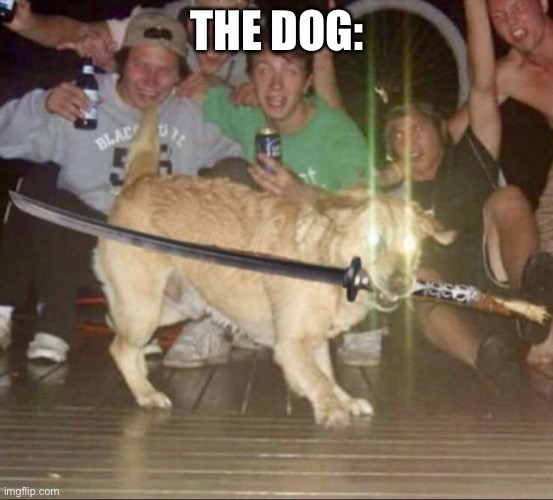 Katana Dog | THE DOG: | image tagged in katana dog | made w/ Imgflip meme maker