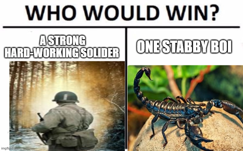 I'm rooting for the scorpion | A STRONG HARD-WORKING SOLIDER; ONE STABBY BOI | image tagged in memes,who would win | made w/ Imgflip meme maker