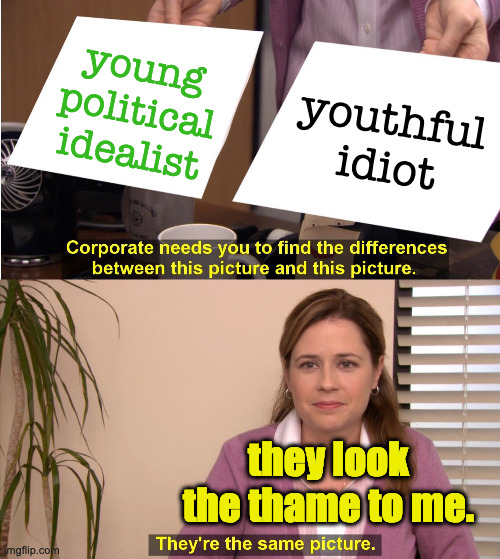 Useful Idiots | young political idealist; youthful idiot; they look the thame to me. | image tagged in memes,they're the same picture | made w/ Imgflip meme maker