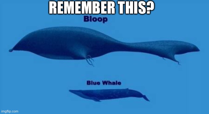 REMEMBER THIS? | made w/ Imgflip meme maker