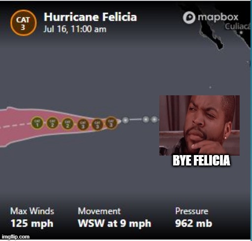 Pacific Hurricane | BYE FELICIA | image tagged in parody | made w/ Imgflip meme maker