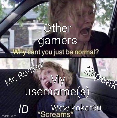 Moi | Other gamers; My username(s); Mr. Rockez; Expeak; ID; Wawikokat60 | image tagged in why can't you just be normal | made w/ Imgflip meme maker