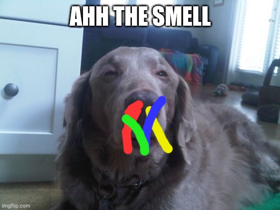 High Dog Meme | AHH THE SMELL | image tagged in memes,high dog | made w/ Imgflip meme maker