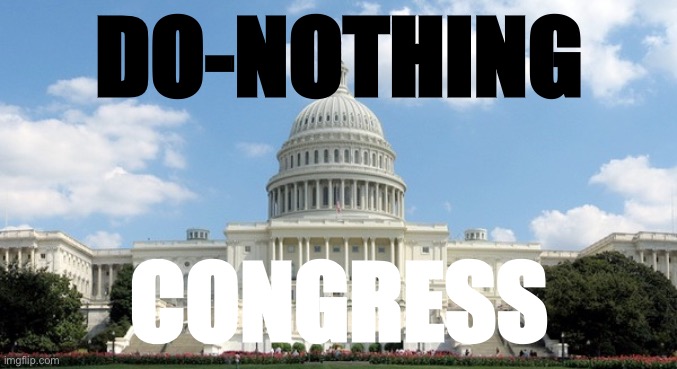 ugh congress  | DO-NOTHING CONGRESS | image tagged in ugh congress | made w/ Imgflip meme maker