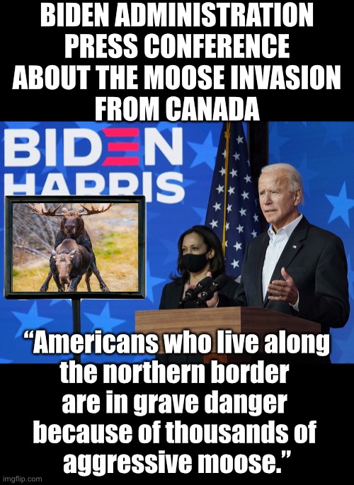 Danger at the northern border. | BIDEN ADMINISTRATION
PRESS CONFERENCE
ABOUT THE MOOSE INVASION
FROM CANADA; “Americans who live along
the northern border 
are in grave danger 
because of thousands of 
aggressive moose.” | image tagged in joe biden,biden,democrat party,incompetence,invasion,illegal immigration | made w/ Imgflip meme maker