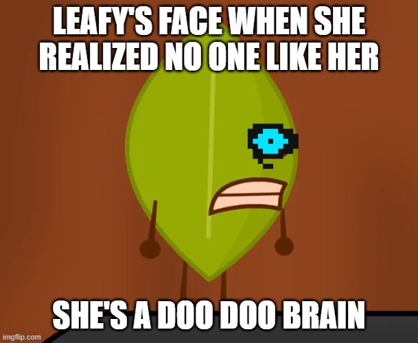 BFDI "Wat" Face |  LEAFY'S FACE WHEN SHE REALIZED NO ONE LIKE HER; SHE'S A DOO DOO BRAIN | image tagged in bfdi wat face | made w/ Imgflip meme maker