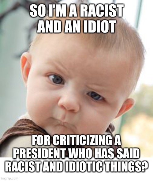 This is so true tho |  SO I’M A RACIST AND AN IDIOT; FOR CRITICIZING A PRESIDENT WHO HAS SAID RACIST AND IDIOTIC THINGS? | image tagged in skeptical baby,funny,racist,joe biden,idiot,leftist insults | made w/ Imgflip meme maker