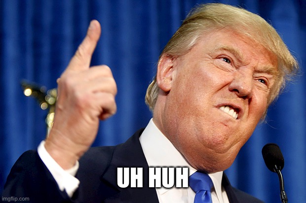Donald Trump | UH HUH | image tagged in donald trump | made w/ Imgflip meme maker