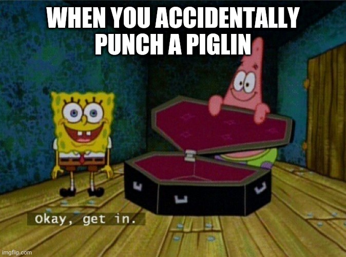 The nether be like | WHEN YOU ACCIDENTALLY PUNCH A PIGLIN | image tagged in spongebob coffin | made w/ Imgflip meme maker
