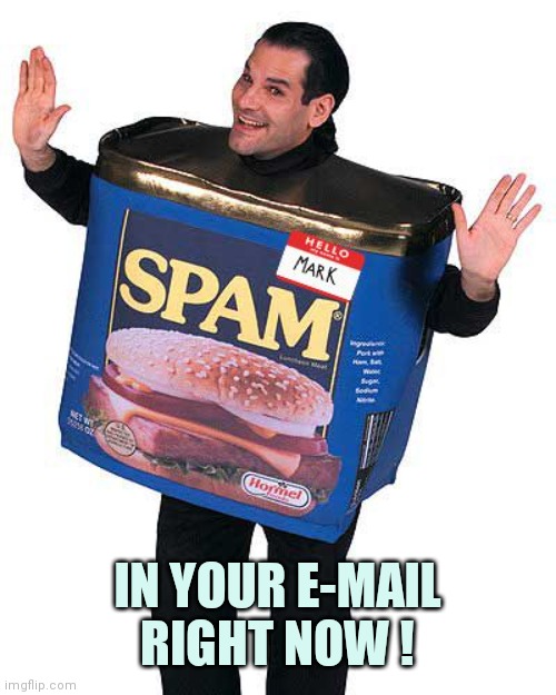 Spam | IN YOUR E-MAIL RIGHT NOW ! | image tagged in spam | made w/ Imgflip meme maker