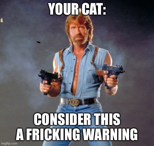 Chuck Norris Guns Meme | YOUR CAT: CONSIDER THIS A FRICKING WARNING | image tagged in memes,chuck norris guns,chuck norris | made w/ Imgflip meme maker