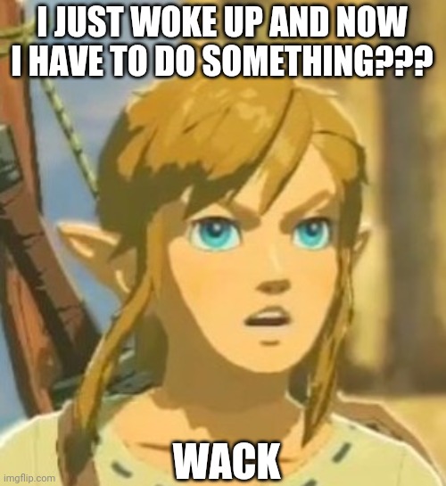 Offended Link | I JUST WOKE UP AND NOW I HAVE TO DO SOMETHING??? WACK | image tagged in offended link | made w/ Imgflip meme maker