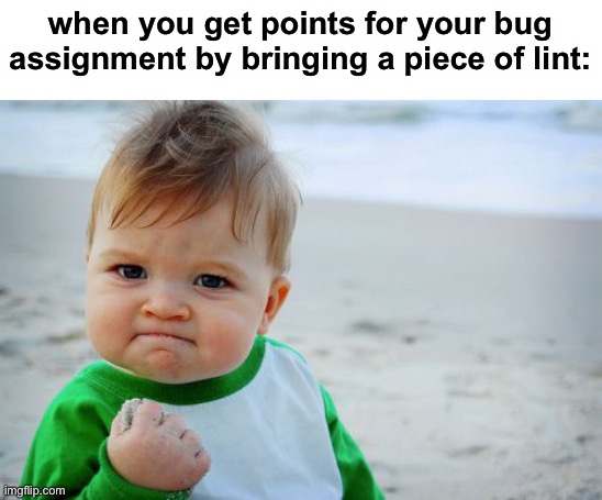 someone i knew did this once ngl | when you get points for your bug assignment by bringing a piece of lint: | image tagged in success kid original,funny,lint,bugs,assignment,school | made w/ Imgflip meme maker