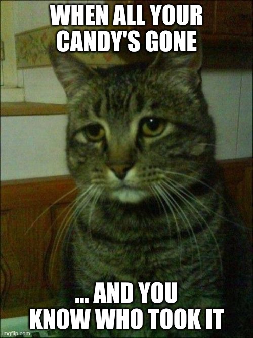 Depressed Cat | WHEN ALL YOUR CANDY'S GONE; ... AND YOU KNOW WHO TOOK IT | image tagged in memes,depressed cat | made w/ Imgflip meme maker
