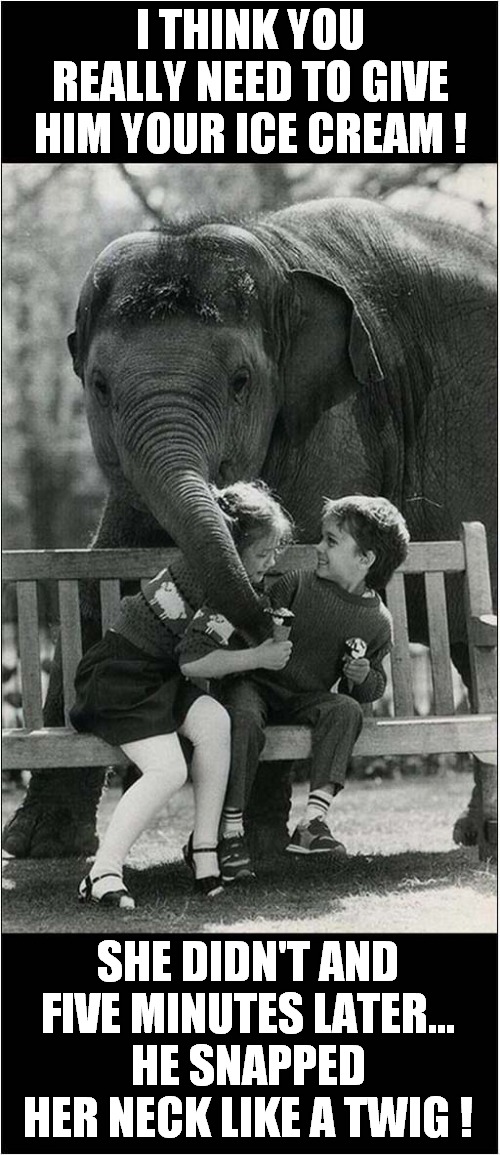 Don't Trust That Elephant ! | I THINK YOU REALLY NEED TO GIVE HIM YOUR ICE CREAM ! SHE DIDN'T AND FIVE MINUTES LATER...
HE SNAPPED HER NECK LIKE A TWIG ! | image tagged in elephant,ice cream,not sharing,neck snapping,dark humour | made w/ Imgflip meme maker