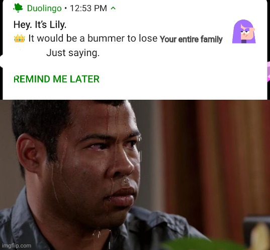 Okay i get it I'll continue my imprisonment | Your entire family | image tagged in sweating bullets,duolingo bird,duolingo,memes | made w/ Imgflip meme maker