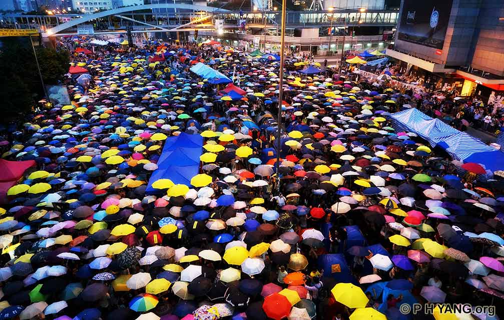 High Quality HK Umbrella Revolution Blank Meme Template