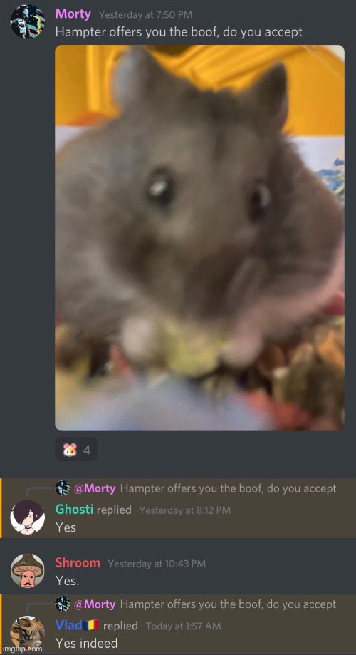 Hampter offers you | image tagged in hamster,discord,memes | made w/ Imgflip meme maker