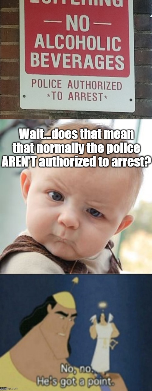 Never seen a sign like this one before. | Wait...does that mean that normally the police AREN'T authorized to arrest? | image tagged in memes,skeptical baby,signs,confused,no no hes got a point,think about it | made w/ Imgflip meme maker
