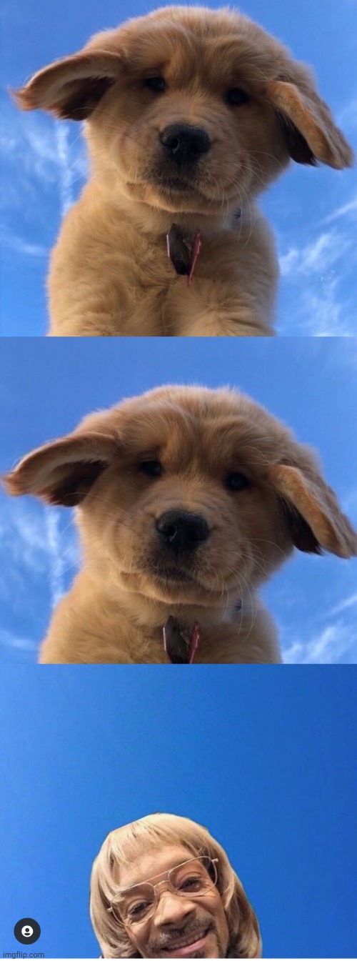 . | made w/ Imgflip meme maker