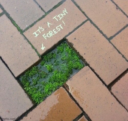 . | made w/ Imgflip meme maker