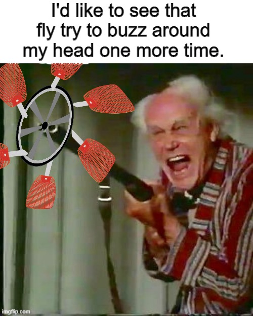 When you've finally had enough... | I'd like to see that fly try to buzz around my head one more time. | image tagged in old man with gun,fly,annoying,flyswatter,anger,inventions | made w/ Imgflip meme maker