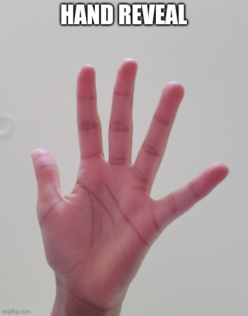 Random Reveal | HAND REVEAL | image tagged in blank white template | made w/ Imgflip meme maker