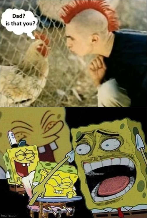 What a comparision! | image tagged in spongebob laughing hysterically | made w/ Imgflip meme maker