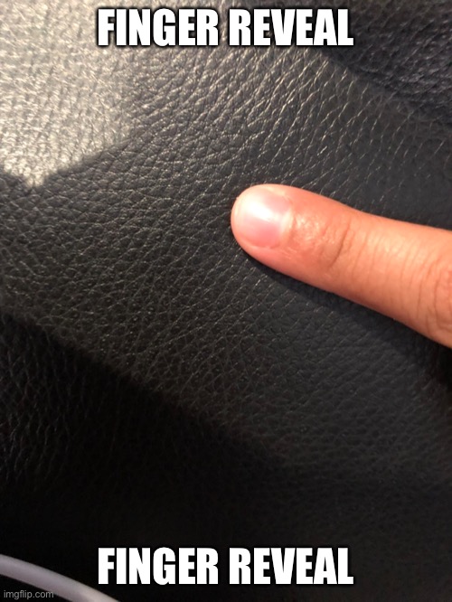 FINGER REVEAL; FINGER REVEAL | made w/ Imgflip meme maker