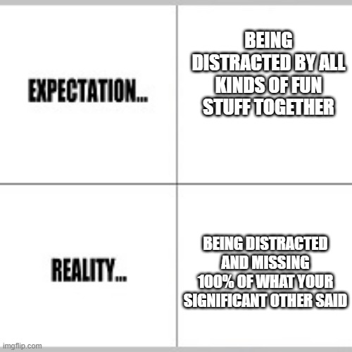 Expectation vs Reality | BEING DISTRACTED BY ALL KINDS OF FUN STUFF TOGETHER; BEING DISTRACTED AND MISSING 100% OF WHAT YOUR SIGNIFICANT OTHER SAID | image tagged in expectation vs reality,adhdmeme | made w/ Imgflip meme maker
