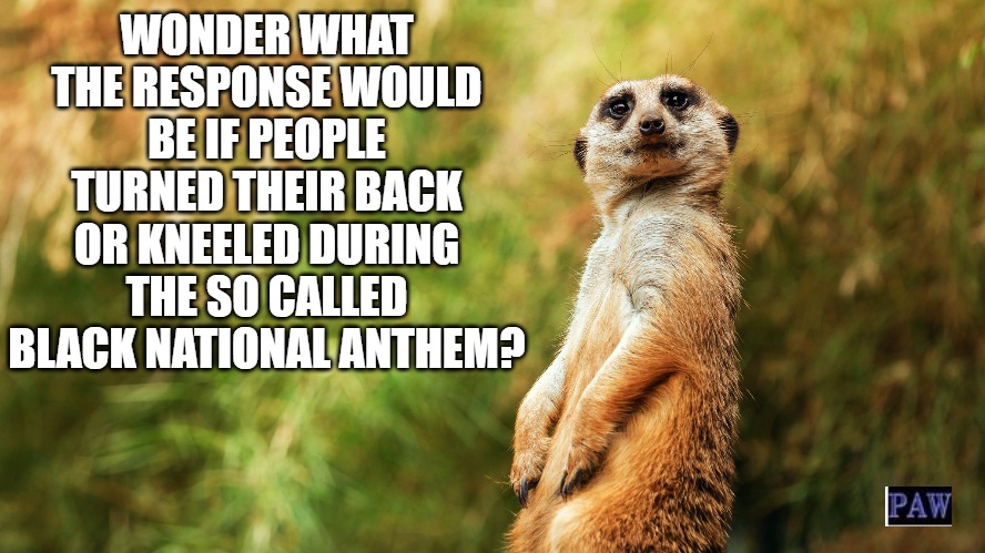 Black National Anthem |  WONDER WHAT THE RESPONSE WOULD BE IF PEOPLE TURNED THEIR BACK OR KNEELED DURING THE SO CALLED BLACK NATIONAL ANTHEM? | image tagged in anthem,national anthem,black anthem,liberal | made w/ Imgflip meme maker