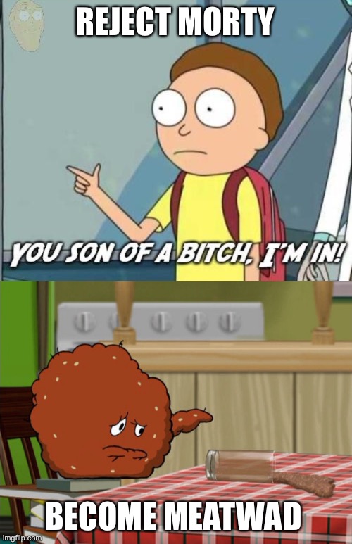 REJECT MORTY BECOME MEATWAD | image tagged in you son of a bitch i'm in,crying meatwad | made w/ Imgflip meme maker