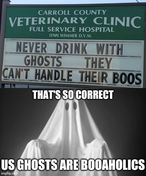 Ghosts and their addiction to boos | THAT'S SO CORRECT; US GHOSTS ARE BOOAHOLICS | image tagged in ghost,you had one job,funny,memes,meme,funny signs | made w/ Imgflip meme maker