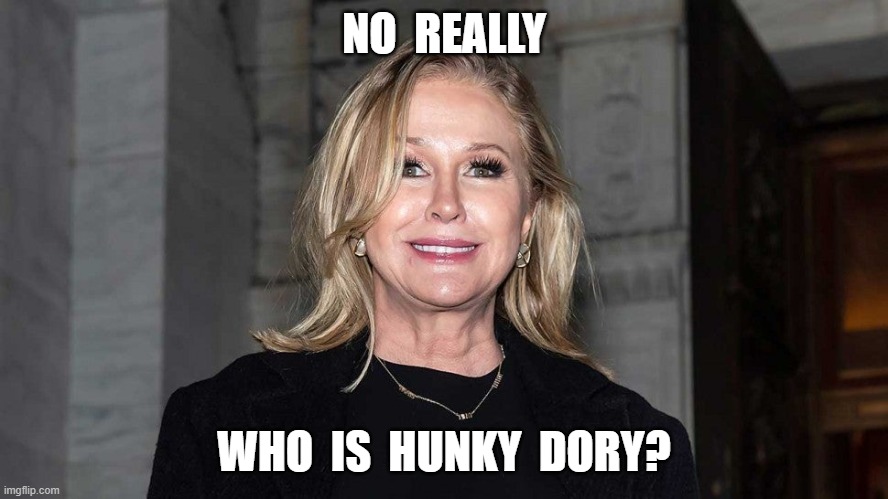 NO  REALLY; WHO  IS  HUNKY  DORY? | image tagged in rhobh,kath hilton | made w/ Imgflip meme maker