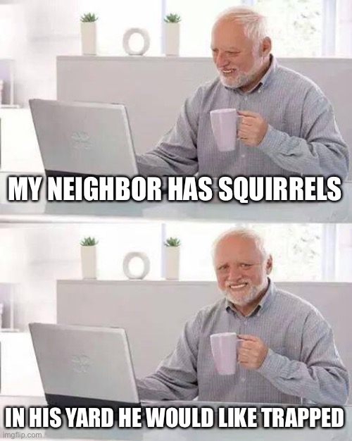 Hide the Pain Harold Meme | MY NEIGHBOR HAS SQUIRRELS IN HIS YARD HE WOULD LIKE TRAPPED | image tagged in memes,hide the pain harold | made w/ Imgflip meme maker