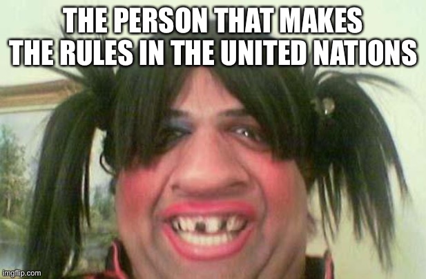 ugly woman with pigtails | THE PERSON THAT MAKES THE RULES IN THE UNITED NATIONS | image tagged in ugly woman with pigtails | made w/ Imgflip meme maker