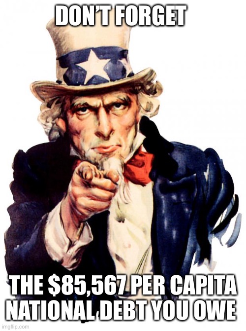 Uncle Sam Meme | DON’T FORGET THE $85,567 PER CAPITA NATIONAL DEBT YOU OWE | image tagged in memes,uncle sam | made w/ Imgflip meme maker