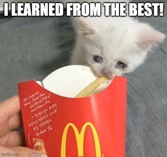 cat stealing mcdonalds fry | I LEARNED FROM THE BEST! | image tagged in cat stealing mcdonalds fry | made w/ Imgflip meme maker