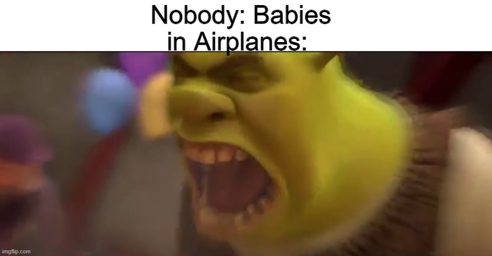 ANNOYING |  Nobody: Babies in Airplanes: | image tagged in shrek screaming,babies | made w/ Imgflip meme maker