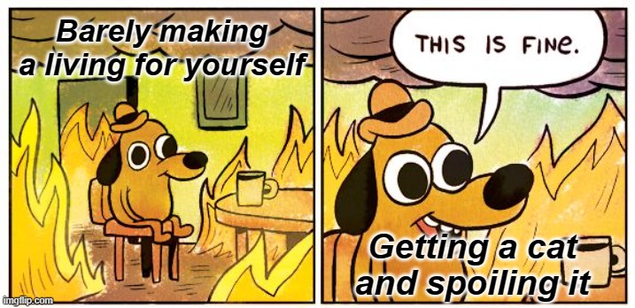 Broke but ur cat isn't duh | Barely making a living for yourself; Getting a cat and spoiling it | image tagged in memes,this is fine,cats | made w/ Imgflip meme maker