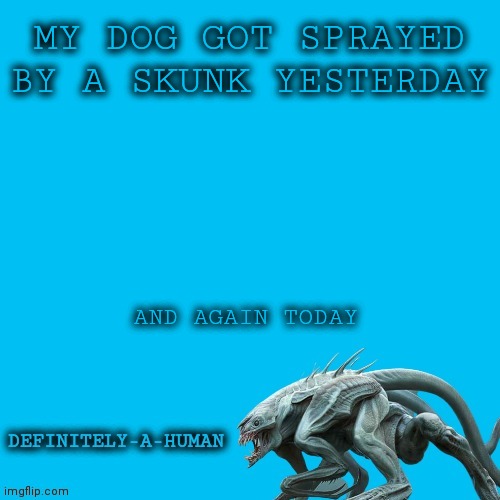 Ugh | MY DOG GOT SPRAYED BY A SKUNK YESTERDAY; AND AGAIN TODAY | image tagged in definitely-a-human's template | made w/ Imgflip meme maker