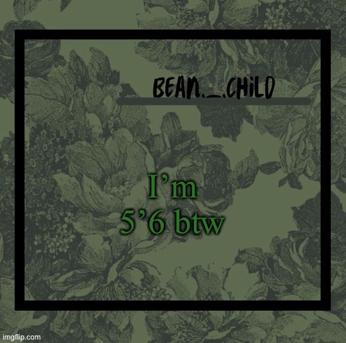 I’m 5’6 btw | image tagged in beans army green temp | made w/ Imgflip meme maker