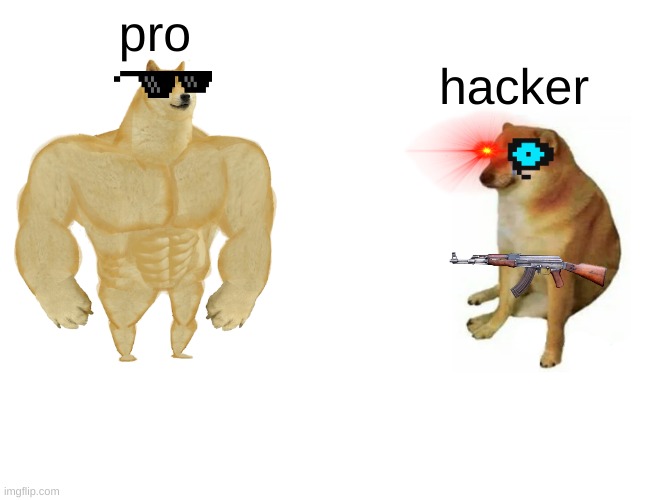 doge level meme |  pro; hacker | image tagged in memes,buff doge vs cheems | made w/ Imgflip meme maker